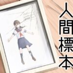 人間標本d_721755