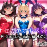 キセカエオナペット -F◯te stay night篇 その2-d_725863