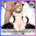 The Hidden Sacrifice 2d_747972