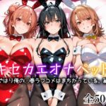 キセカエオナペット -やはり俺の◯春ラブコメはまちがっている篇-d_754212