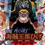 【ONE PI〇CE】海賊王黒ひげ〜略奪の記録〜d_760439